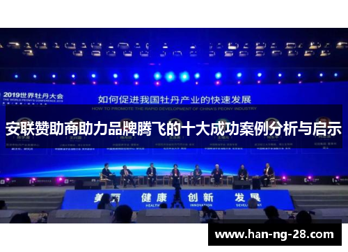 安联赞助商助力品牌腾飞的十大成功案例分析与启示