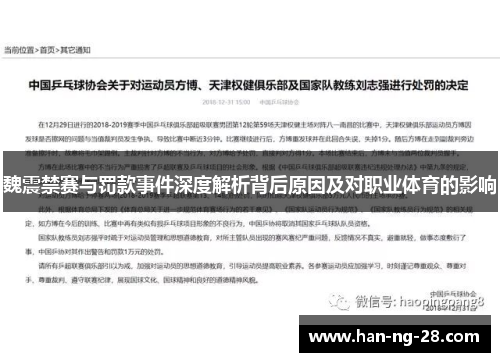 魏震禁赛与罚款事件深度解析背后原因及对职业体育的影响