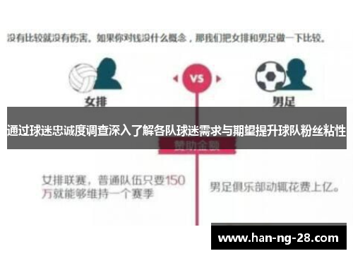 通过球迷忠诚度调查深入了解各队球迷需求与期望提升球队粉丝粘性