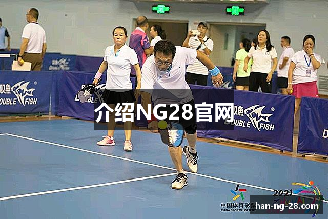 介绍NG28官网